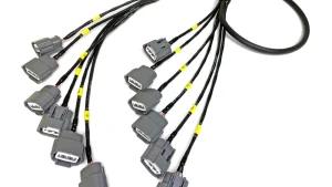Expansion Harnesses